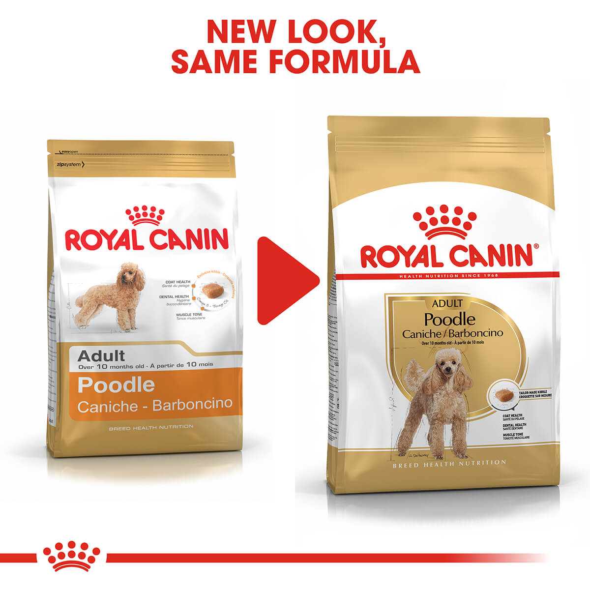 Royal Canin Poodle Adult Dry Dog Food 2Kg