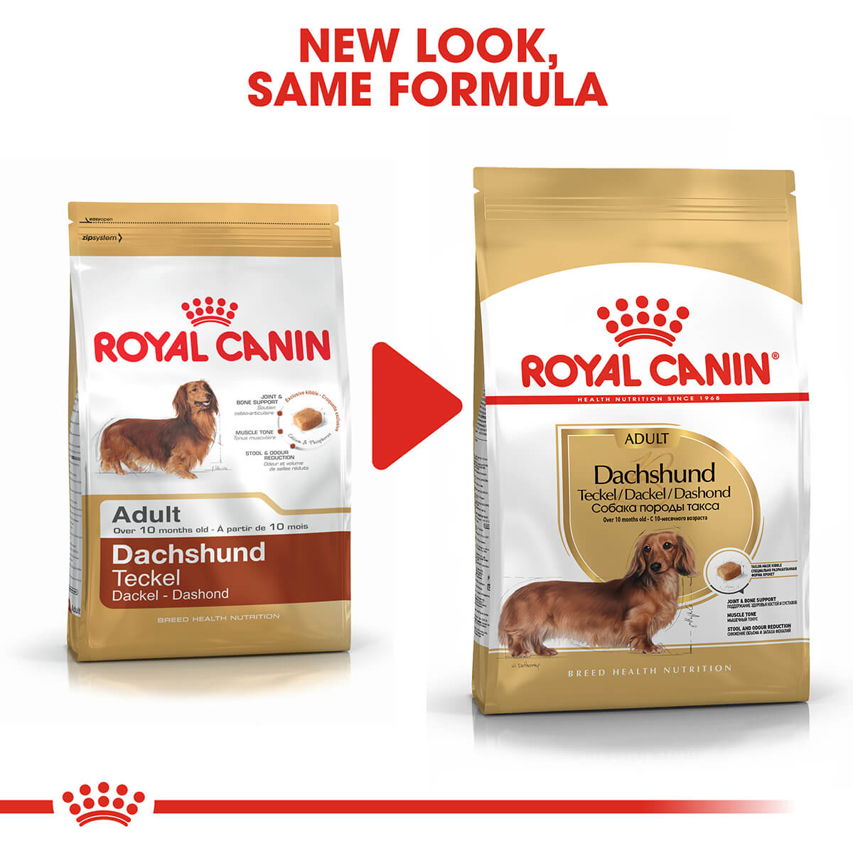 Royal Canin Dachsund Adult Dry Dog Food 1.5Kg