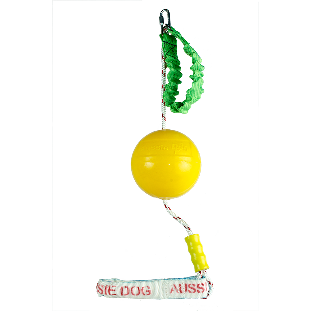 Aussie Dog Home Alone Interactive Dog Toy - Medium