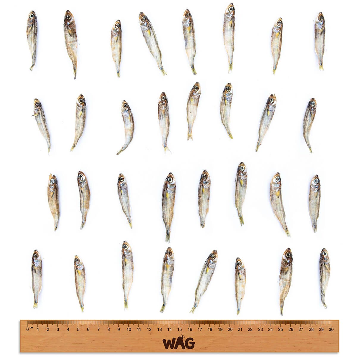 Wag Forage Fish Dog Treats 200G