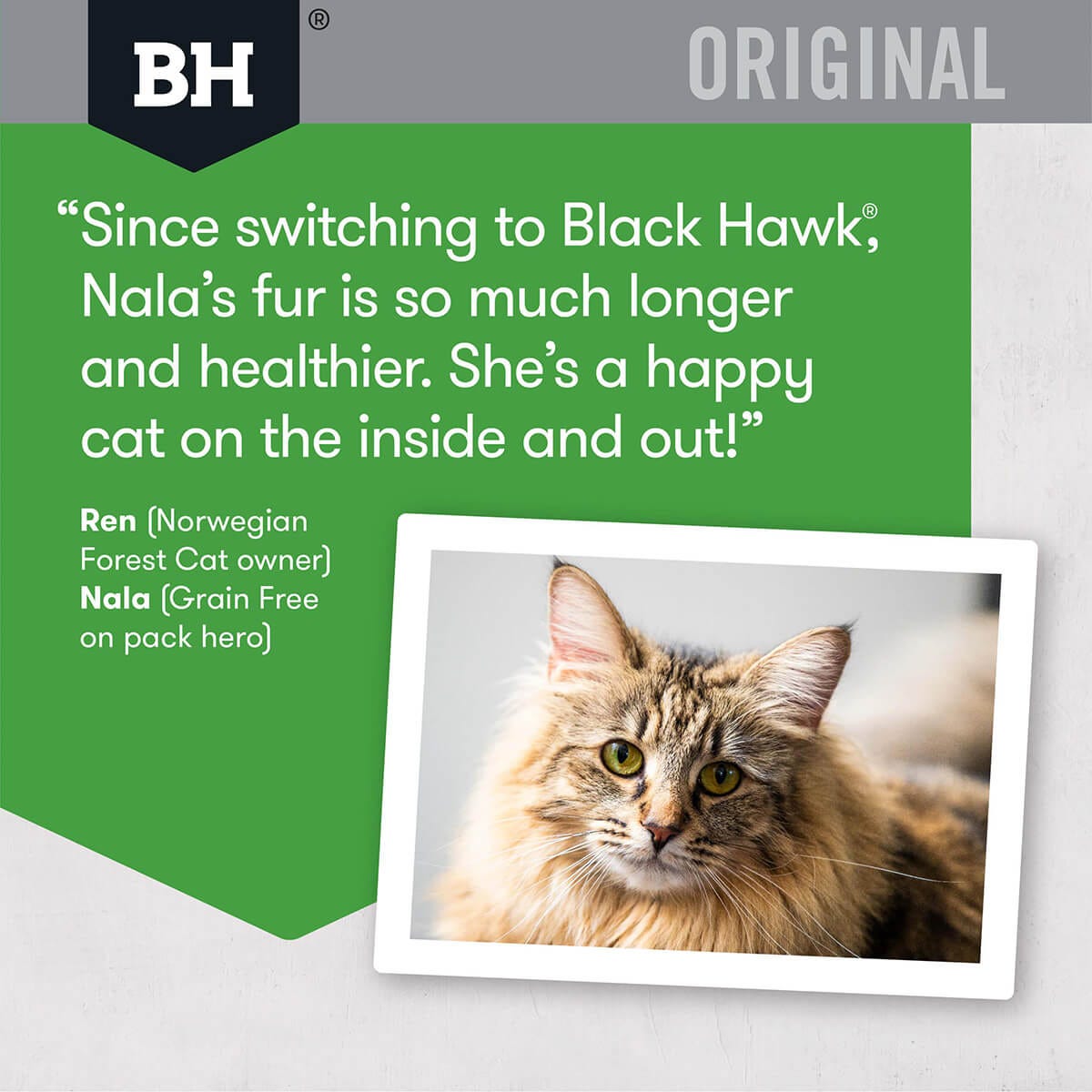 Black Hawk Original Adult Chicken Dry Cat Food 8Kg