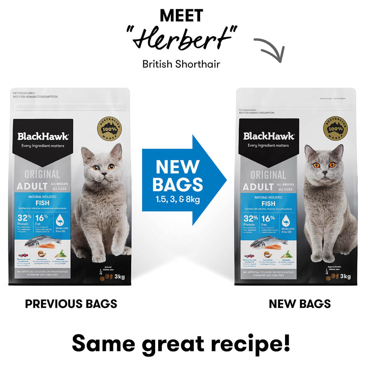 Black Hawk Original Adult Fish Dry Cat Food 8Kg