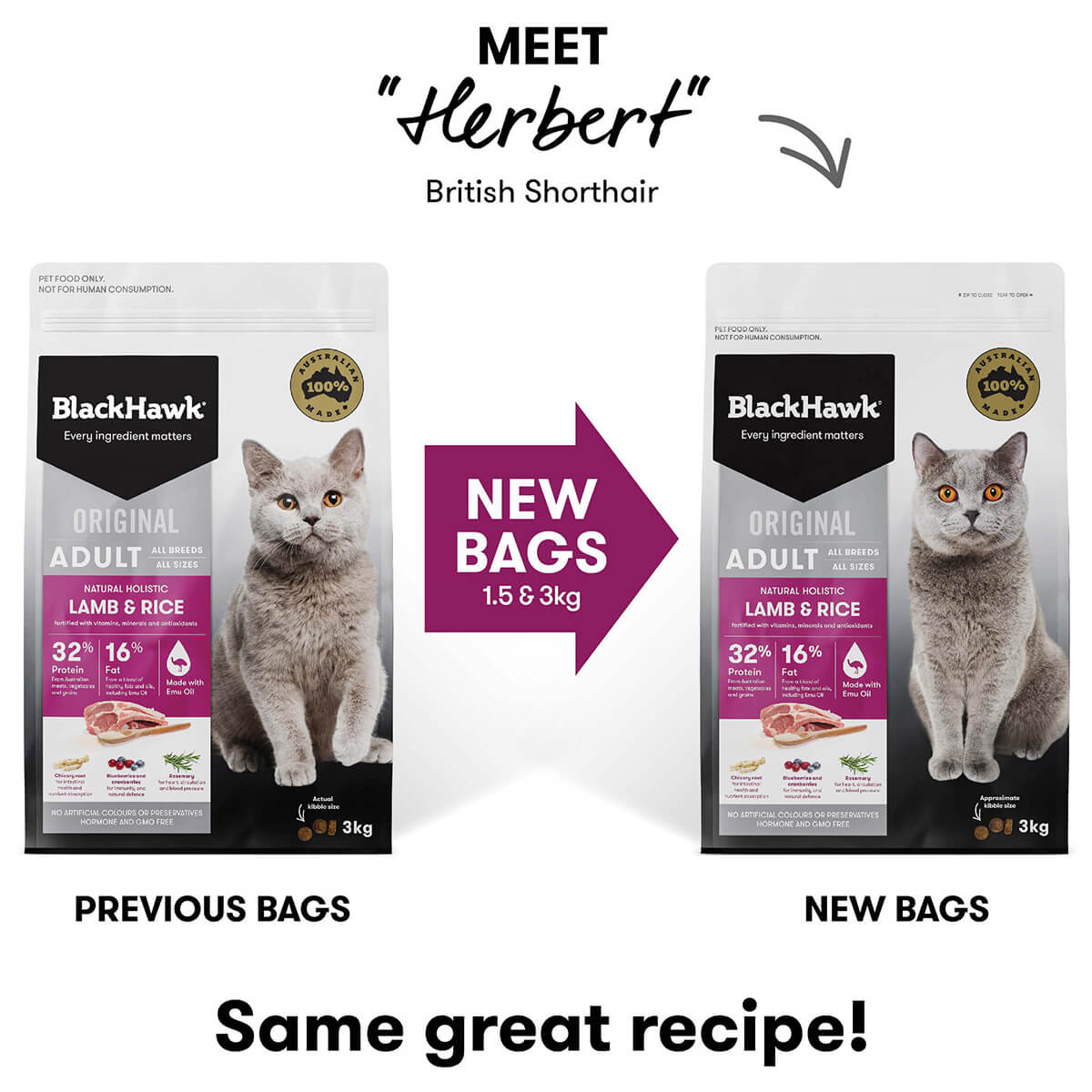 Black Hawk Original Adult Lamb Dry Cat Food 3Kg