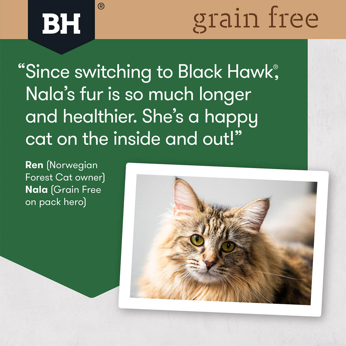 Black Hawk Grain Free Adult Chicken & Turkey Dry Cat Food 2.5Kg