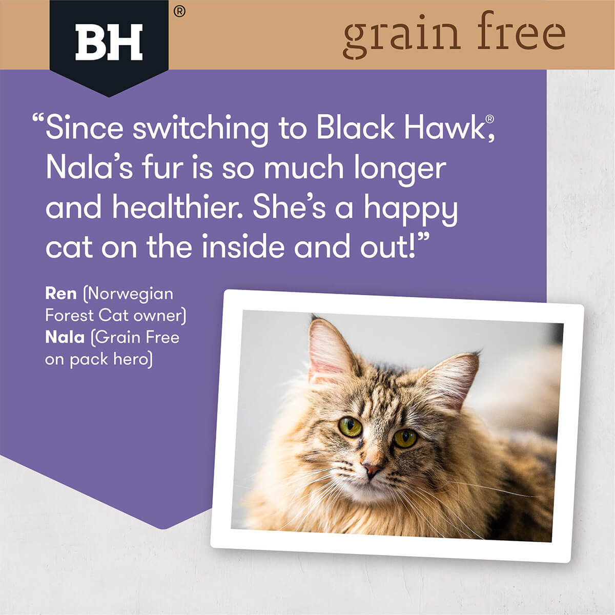 Black Hawk Grain Free Adult Duck & Fish Dry Cat Food 6Kg