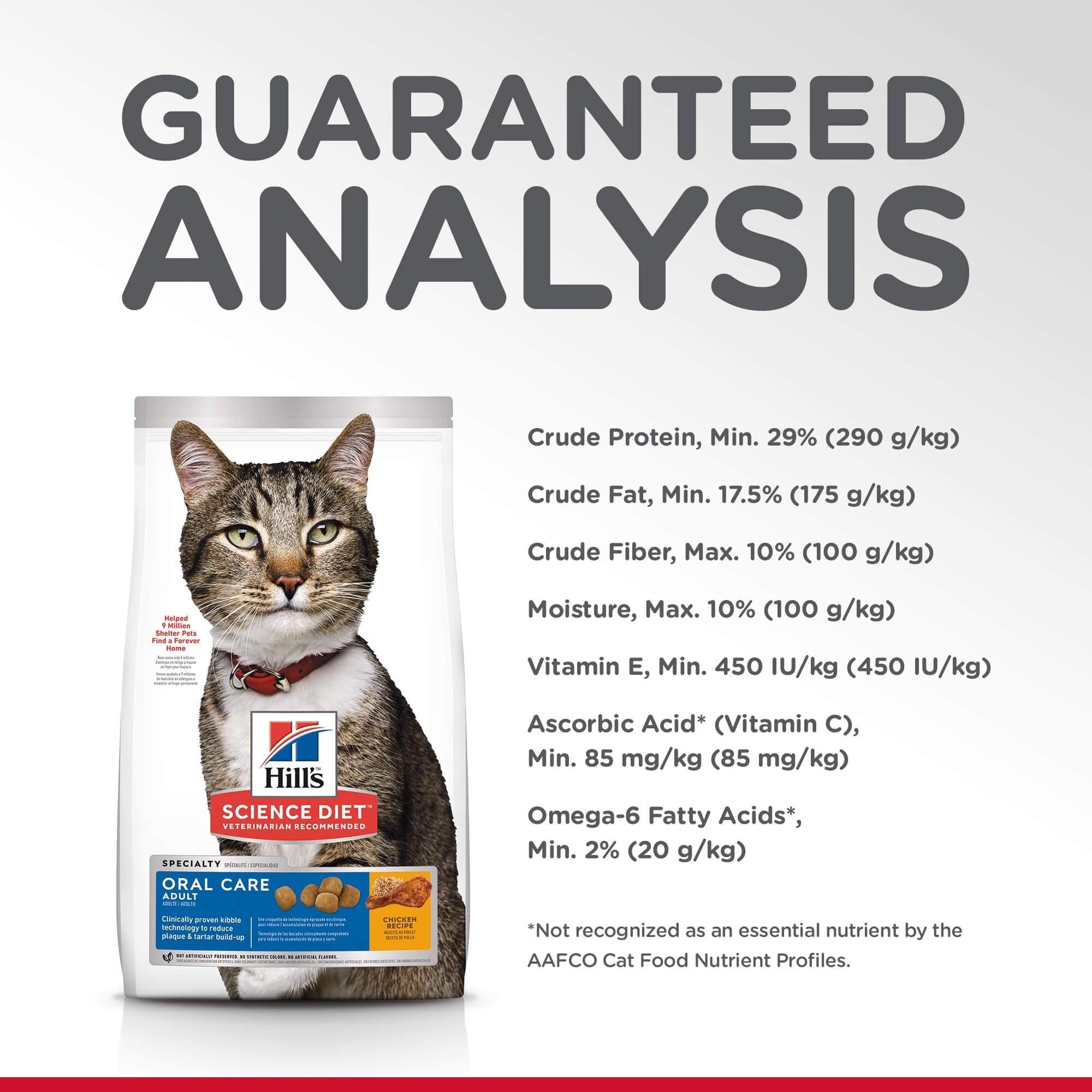 Dad's dry cat food best sale