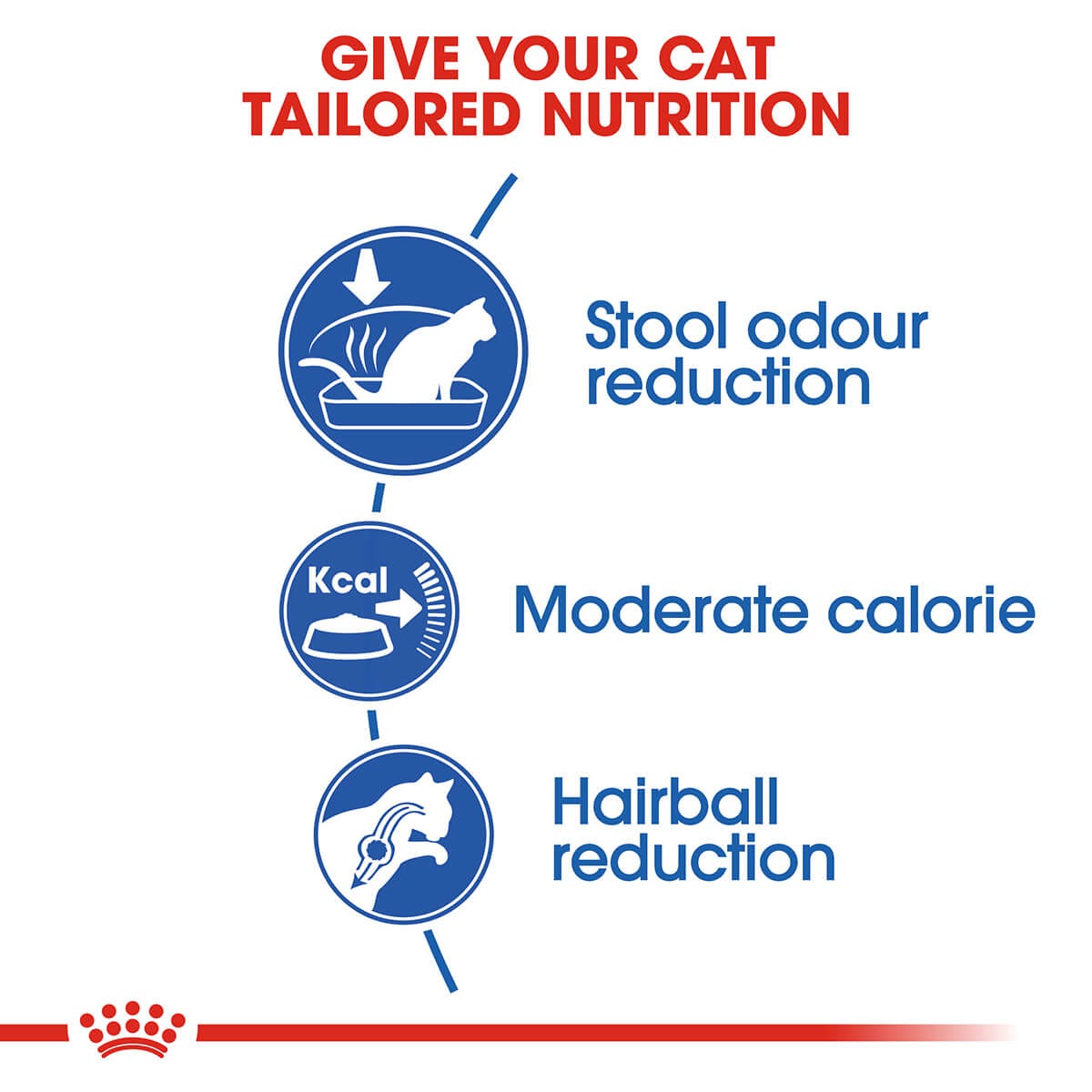 Royal Canin Indoor Adult Dry Cat Food 10Kg