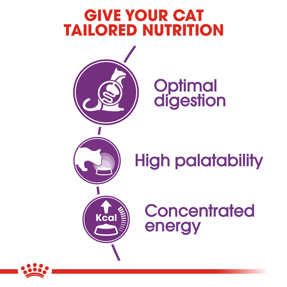 Royal Canin Sensible Digestion Adult Dry Cat Food 2Kg