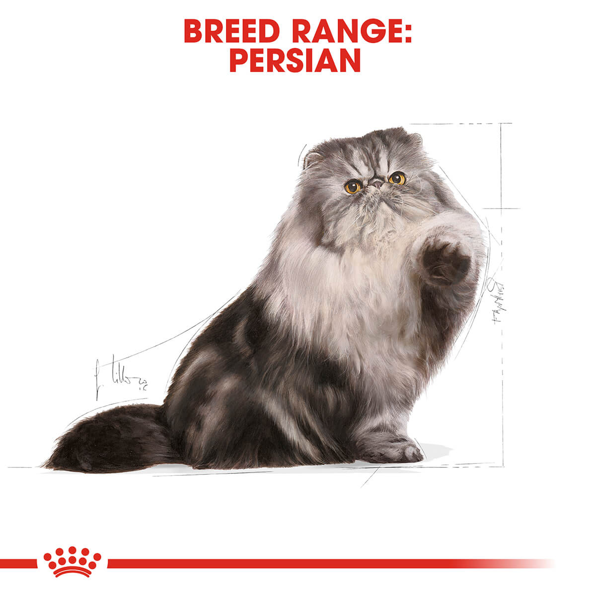 Royal Canin Persian Adult Dry Cat Food 2Kg