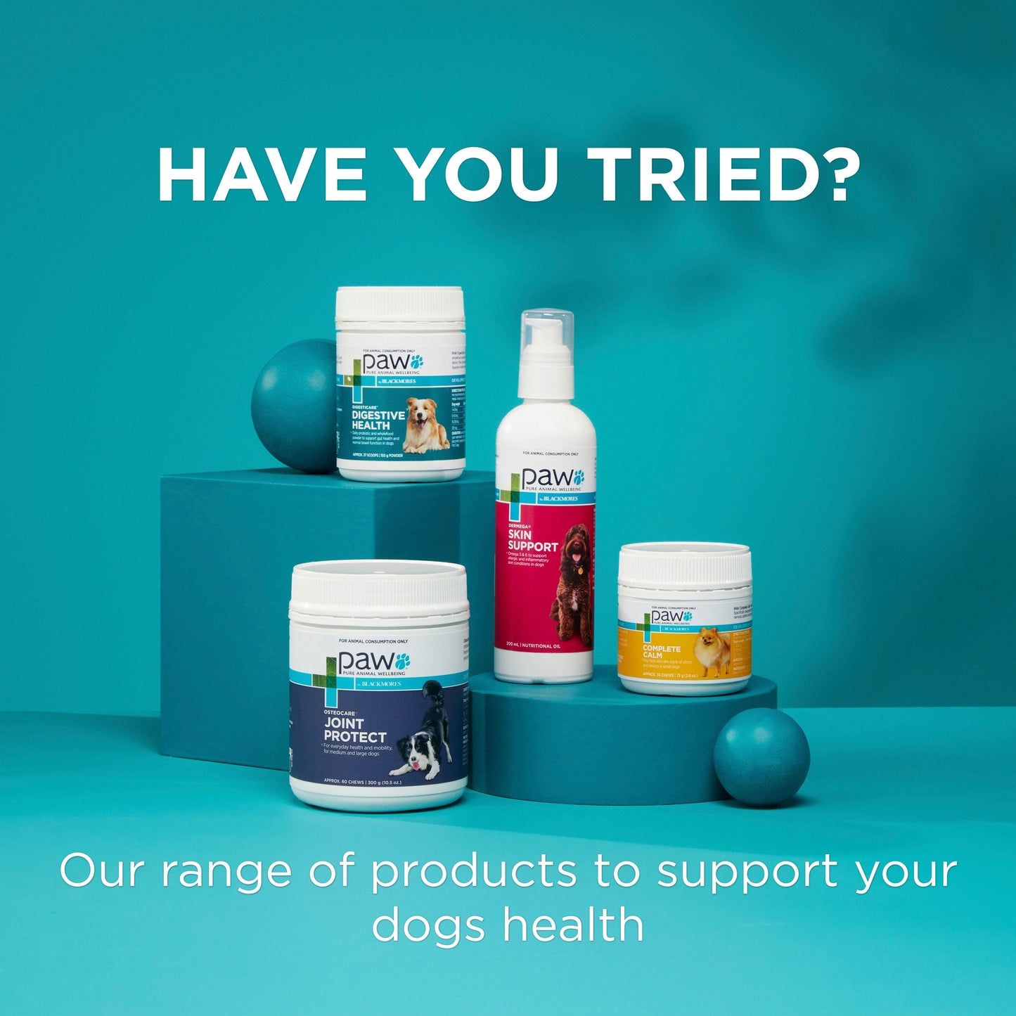 Paw Coat, Skin & Nails Multivitamin Chews