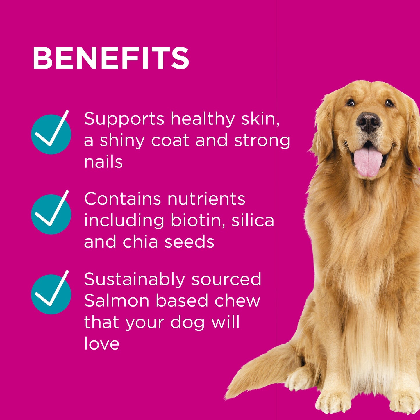 Paw Coat, Skin & Nails Multivitamin Chews