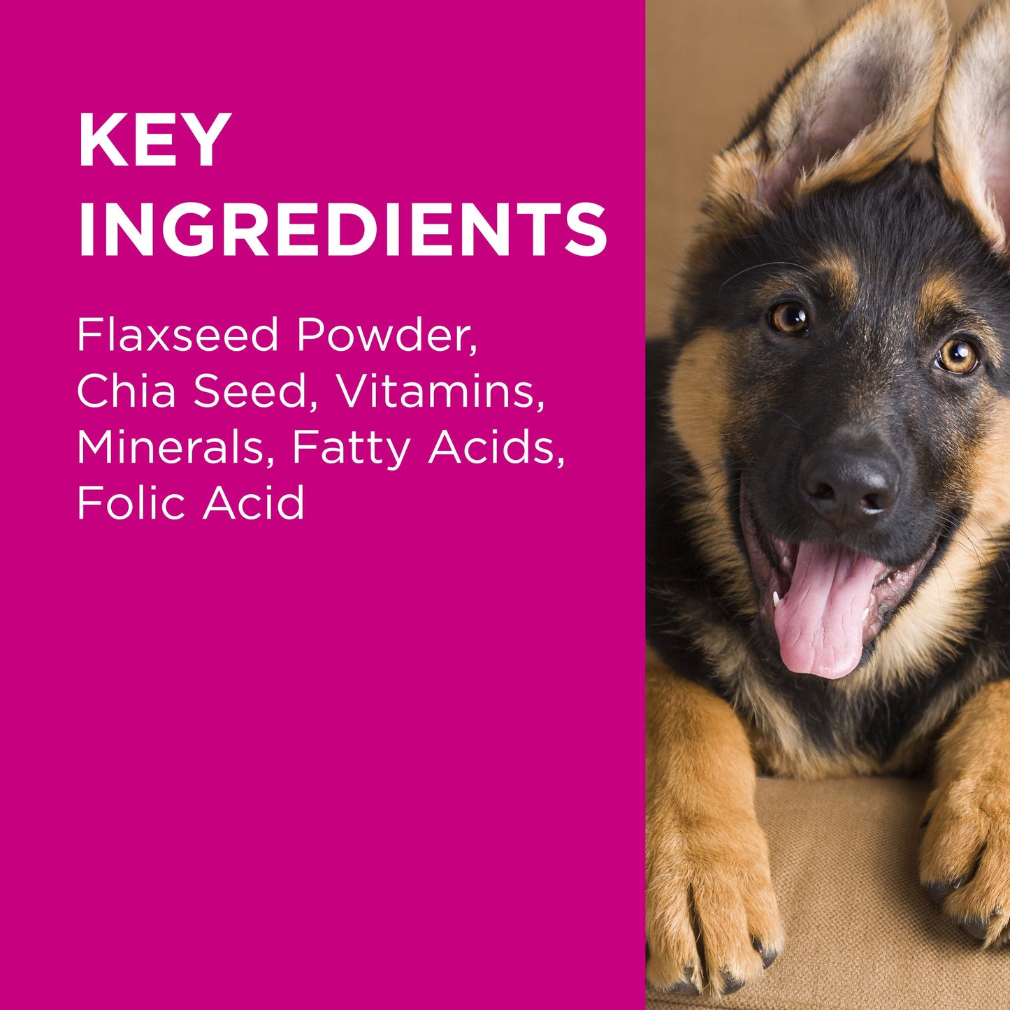 Paw Coat, Skin & Nails Multivitamin Chews