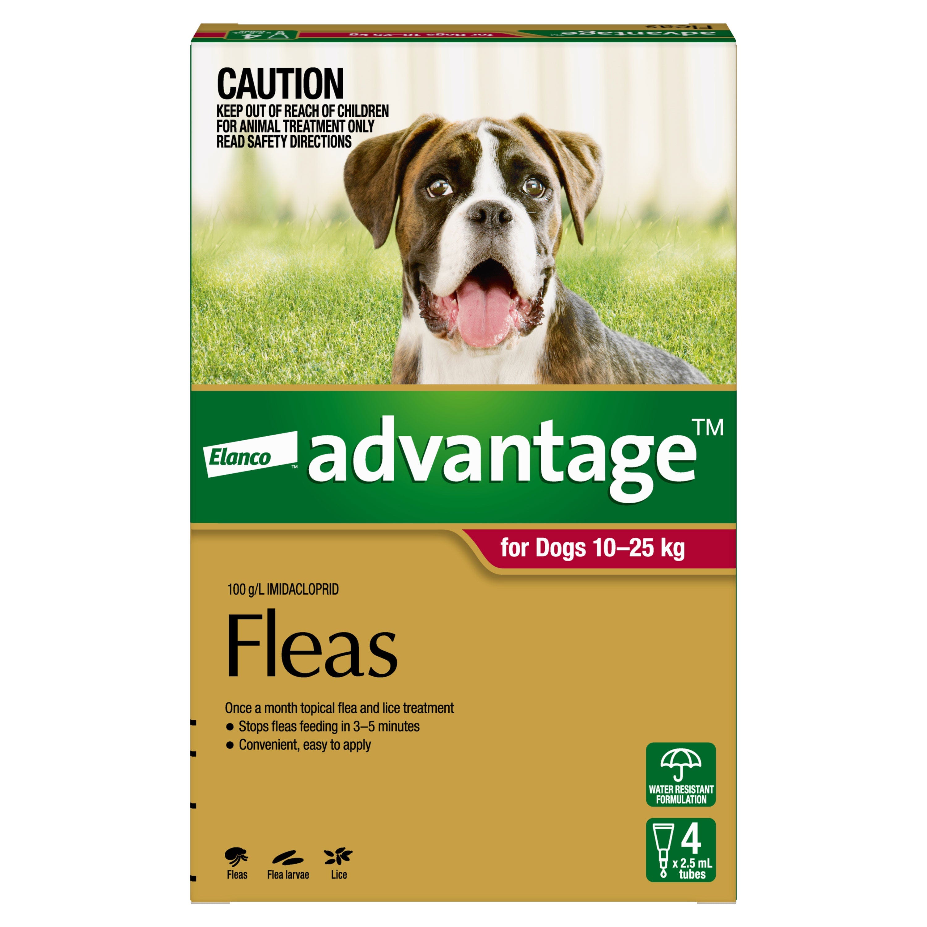 6 month flea treatment for dogs best sale