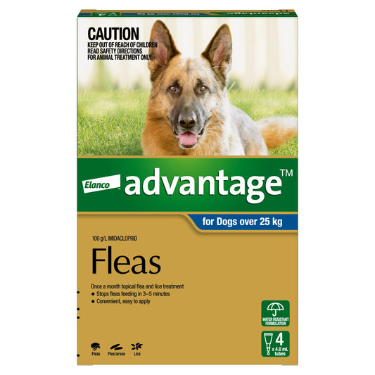 Advantage Flea Treatment 25Kg+ Dog 6 Pack