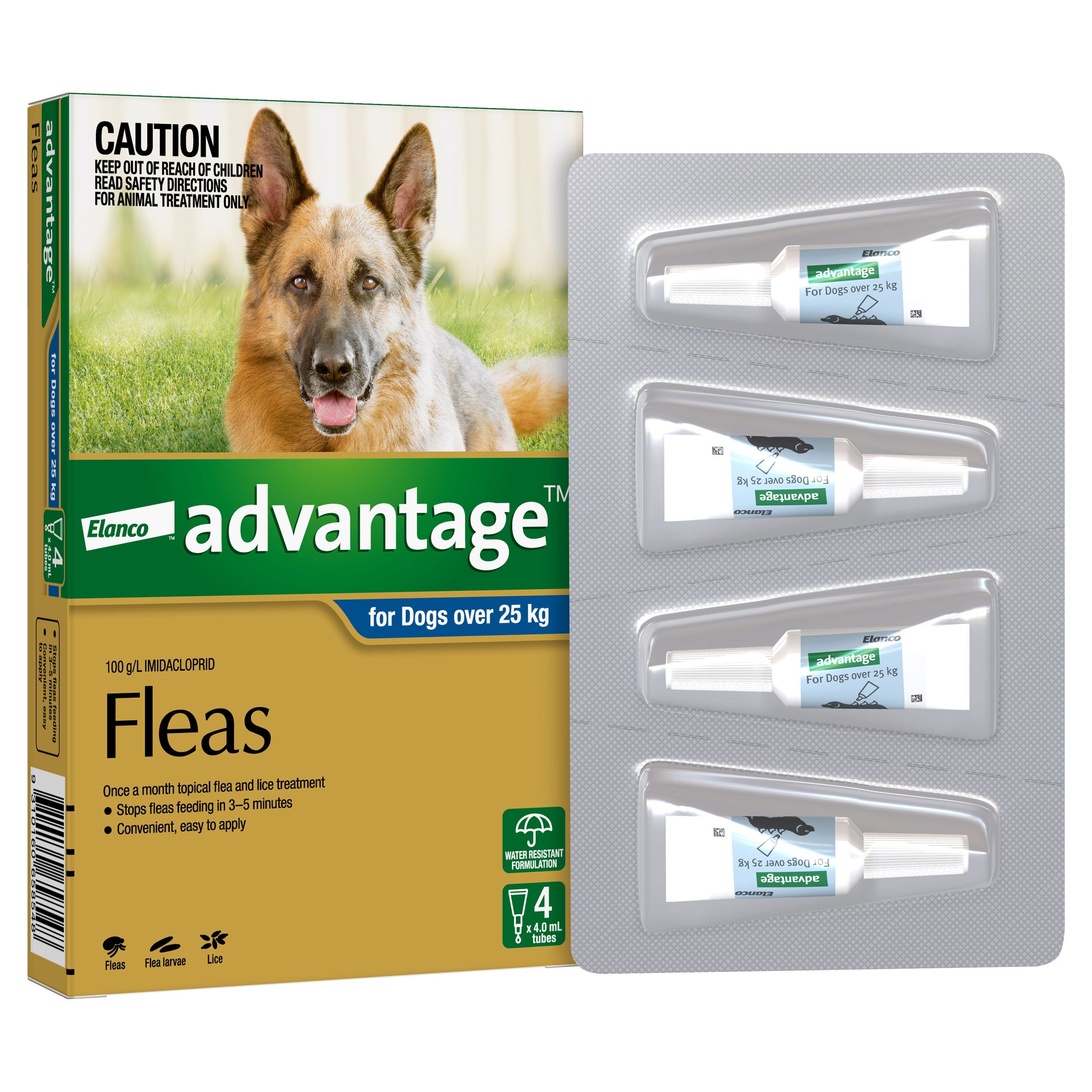 Flea and lice treatment for dogs best sale