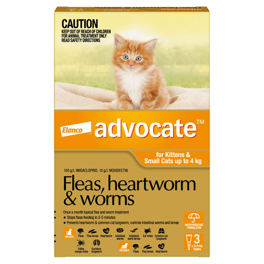 Advocate Flea & Worm Treatment >4Kg Cat 3 Pack