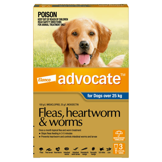 Advocate Flea & Worm Treatment 25Kg+ Dog 6 Pack