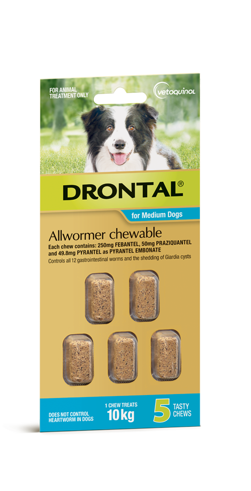 Drontal Chewable Intestinal Wormer 5 Pack