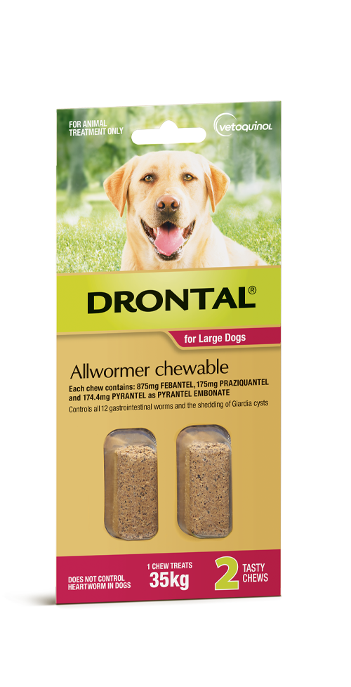 Drontal Chewable Wormer Large Dog 2 Pack