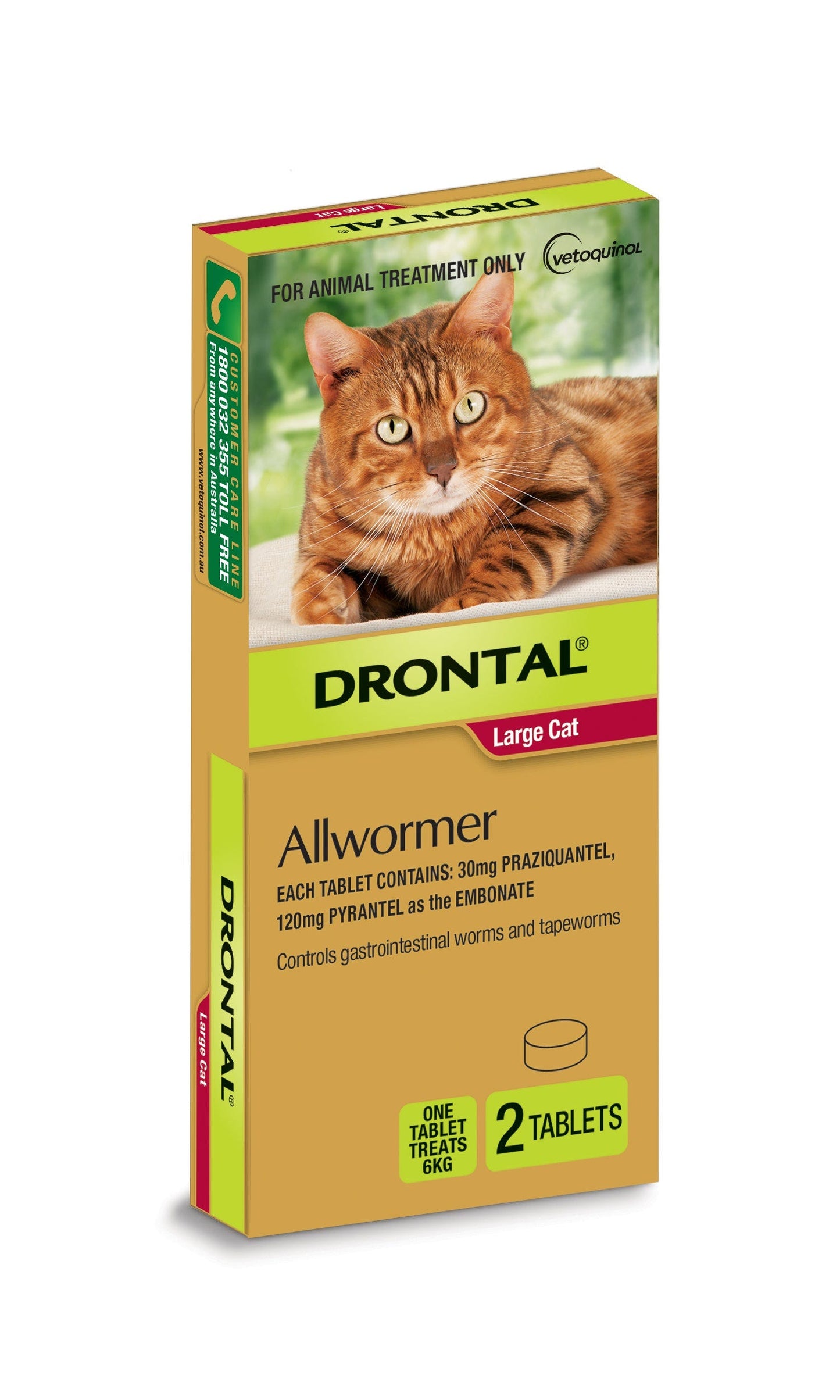 Drontal Ellipsoid Allwormer 6Kg Cat 2 Pack