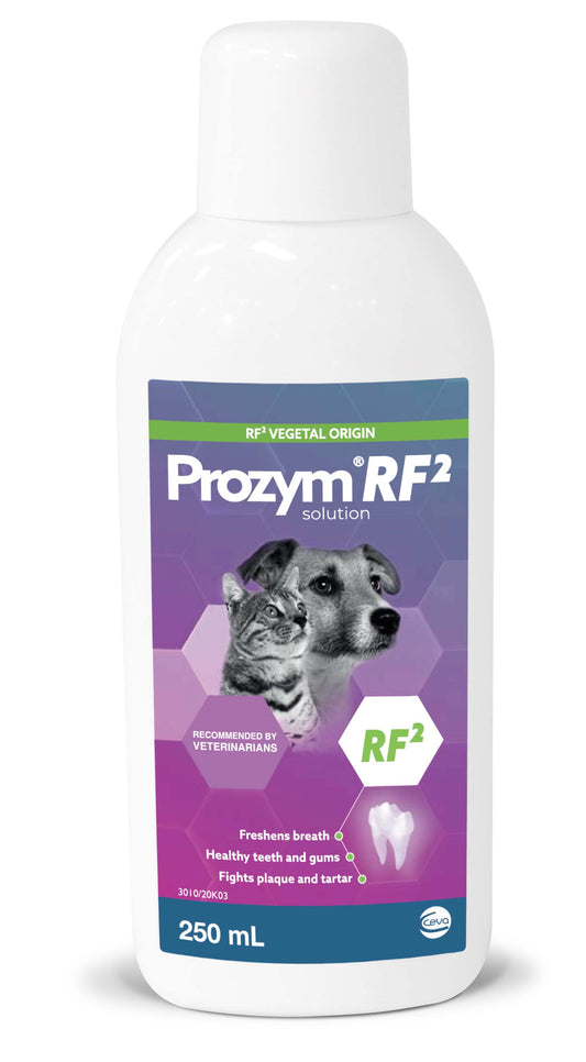 Prozym Rf2 Dental Solution