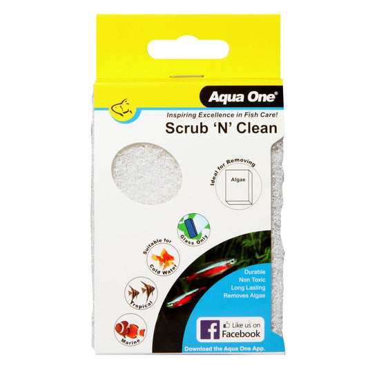 Ao Scrub N Clean Algae Pad Fine Small