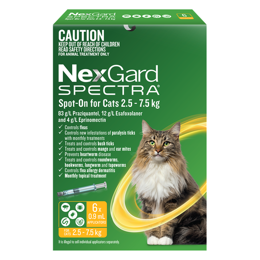 NEXGARD SPECTRA Cat L 6pk