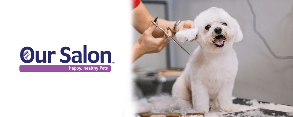Our Salon Best Friends Pets