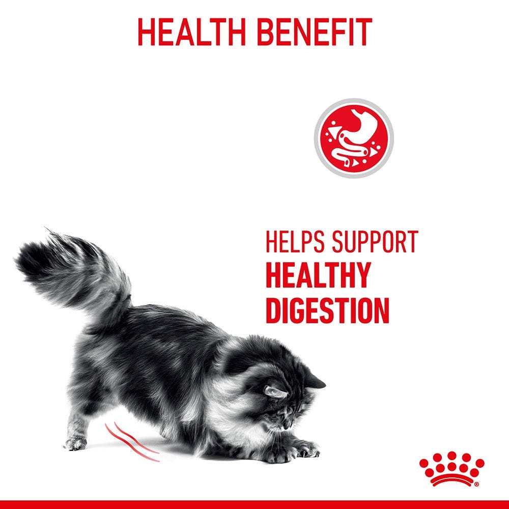 Royal Canin Digestive Care Adult Dry Cat Food 2Kg