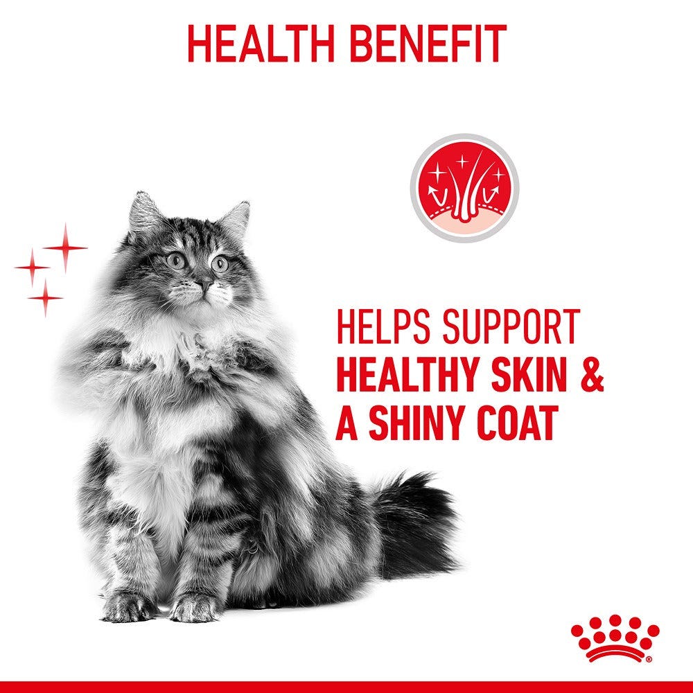 Royal Canin Hair & Skin Care Adult Dry Cat Food 2Kg