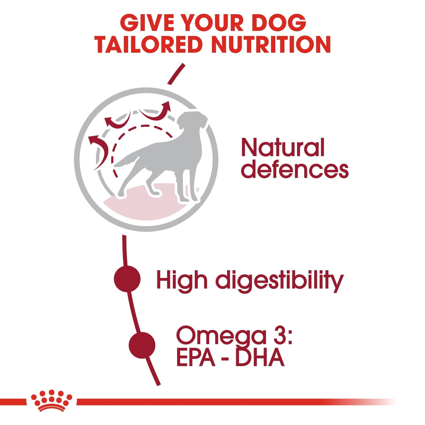 Royal Canin® Medium Adult Is Recommended For Medium Breed Dogs (Adult Weight 11-25Kg) Over 12 Months 4kg