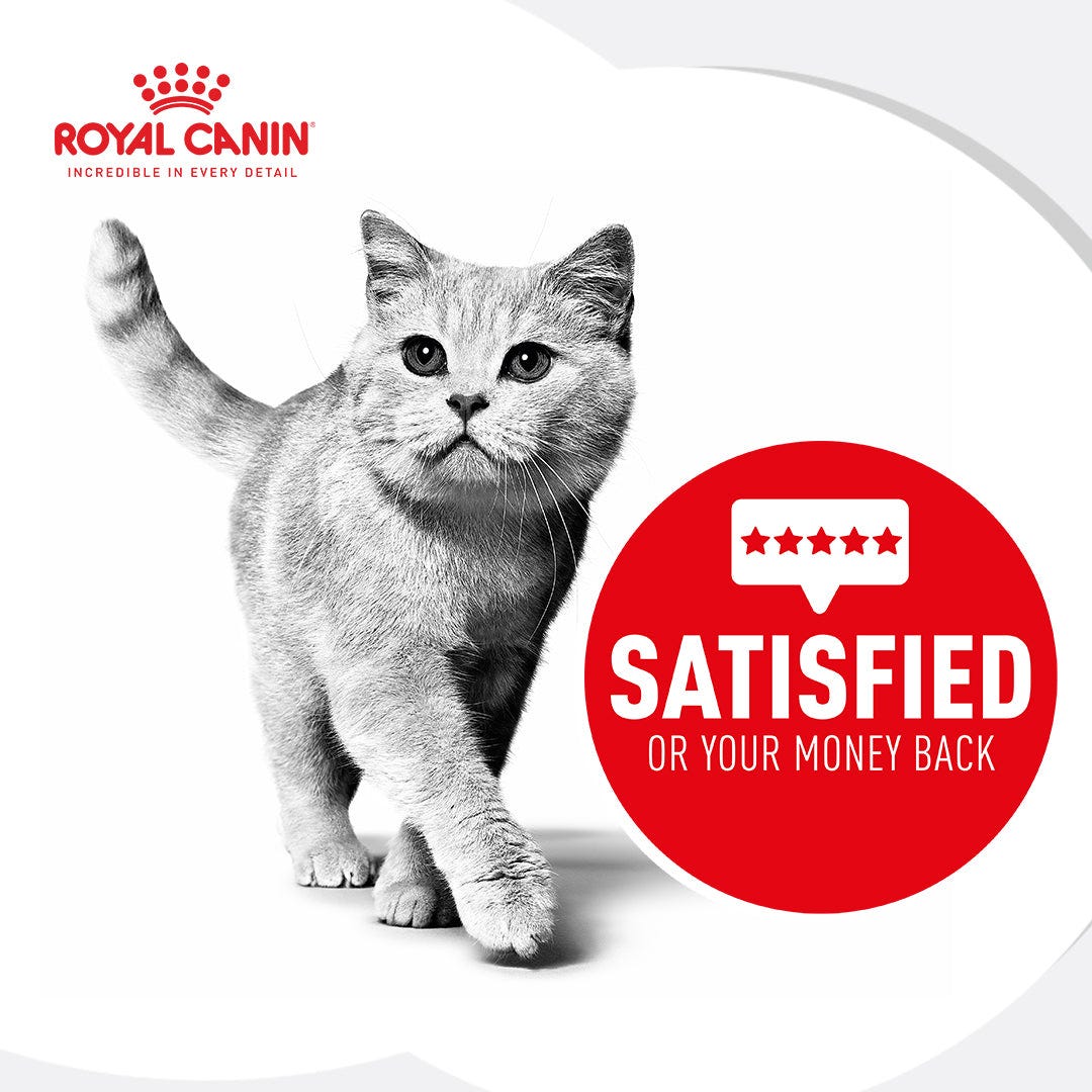 Royal Canin Ragdoll Adult Dry Cat Food 2Kg