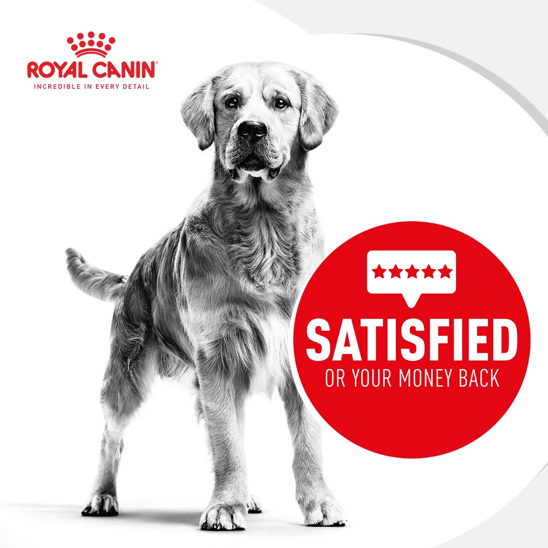 Royal Canin Poodle Puppy Dry Dog Food 3Kg