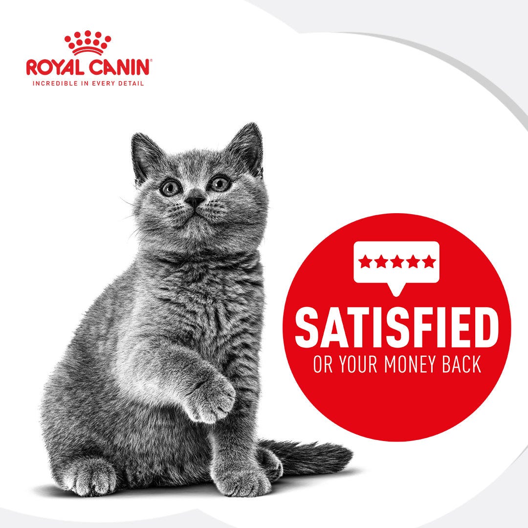 Royal Canin Kitten Dry Cat Food 2Kg