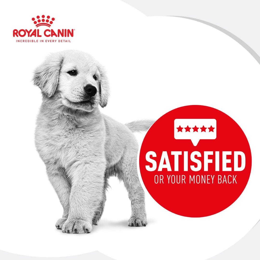 Royal Canin Maxi Large Breed Puppy Chicken Dry Dog Food 4Kg