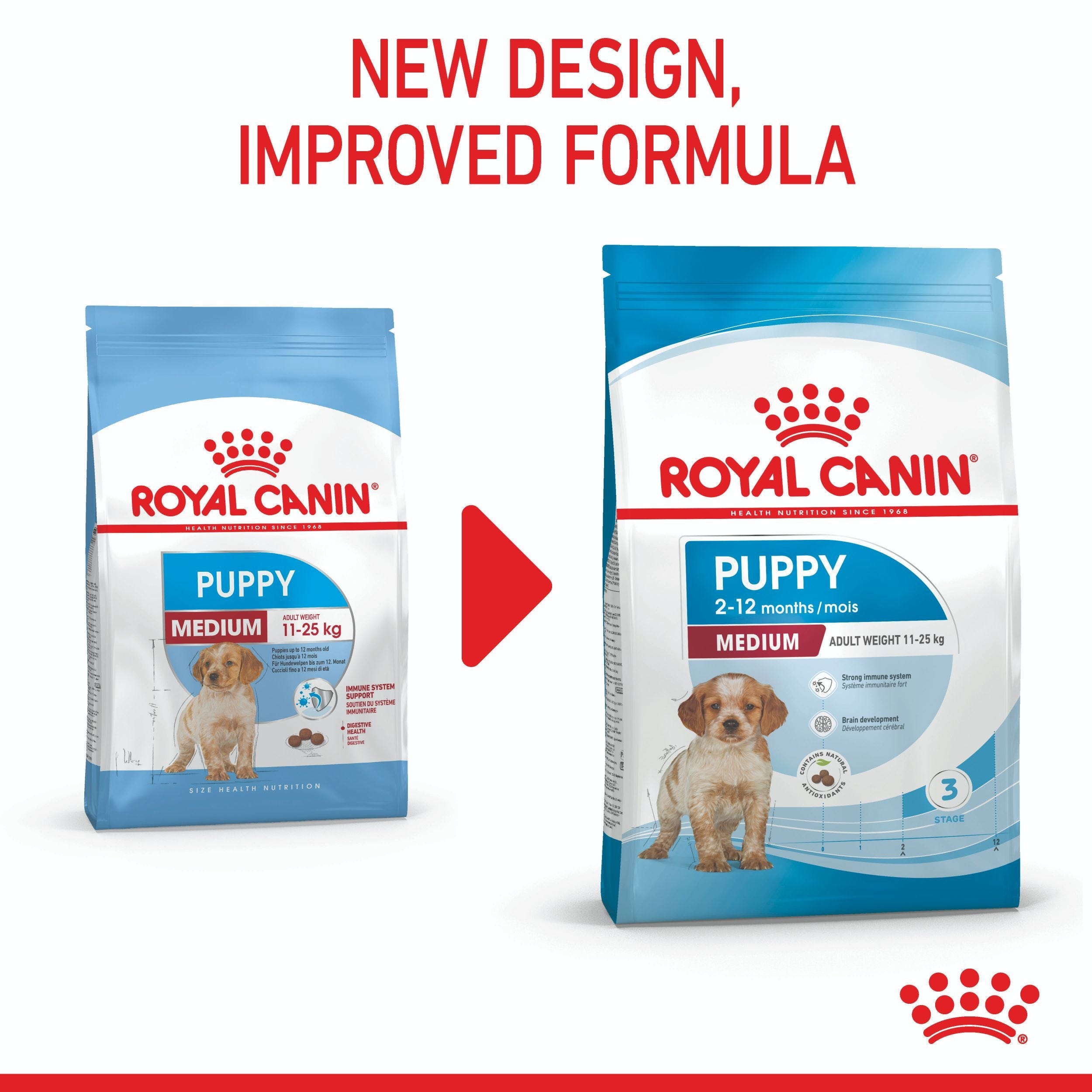 Medium puppy food best sale